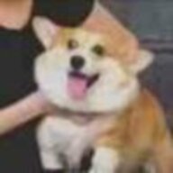 慕云