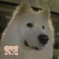ChunFriday
