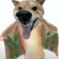 北极公主