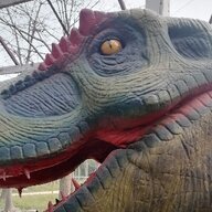 rrrrrr7
