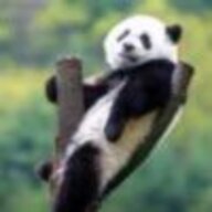 Hang