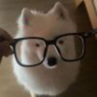 wwiil