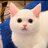 mbql